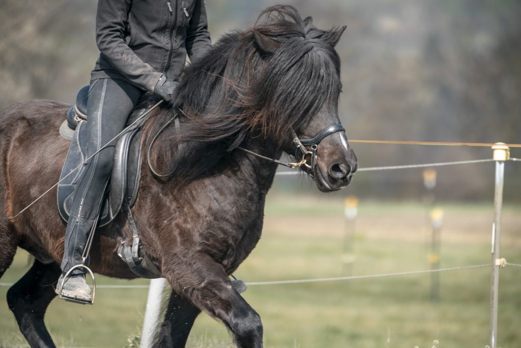 _SA91040 Kopie